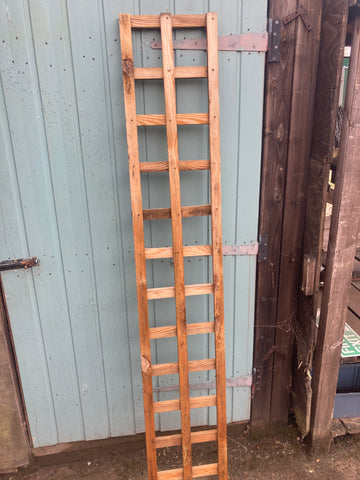 Wards Garden Trellis 6ft x 1ft