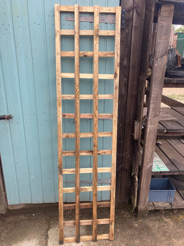 Wards Garden Trellis 6ft x 18"