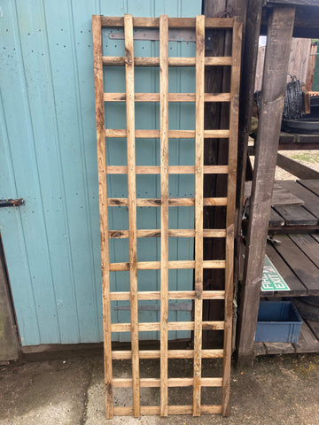 Wards Garden Trellis 6ft x 2ft